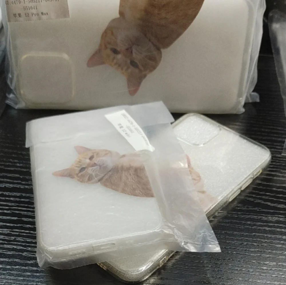 iPhone 12 Pro Max Case Orange Cat Meme - Clear Protective Case